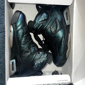 Jordan 6 Retro Chameleon